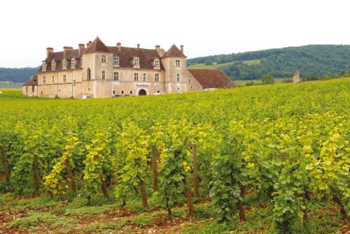 tourhub | UTracks | Burgundy Canals and Vineyards | BCV