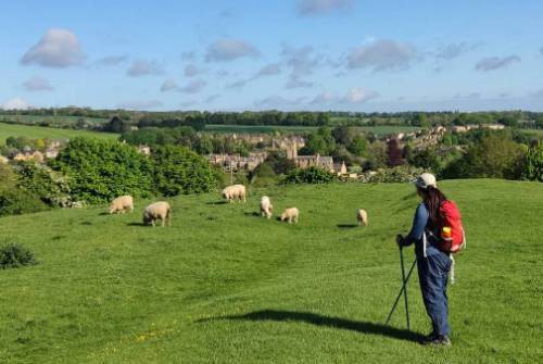 tourhub | Walkers' Britain | Exploring the Cotswolds - 8 days 