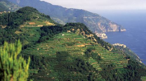 tourhub | Walkers' Britain | Exploring Cinque Terre Villages 