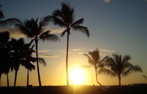 tourhub | World Expeditions | Hawaii Hiking the Aloha Isles 