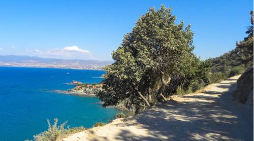 tourhub | Walkers' Britain | Cyprus Winter Walking 