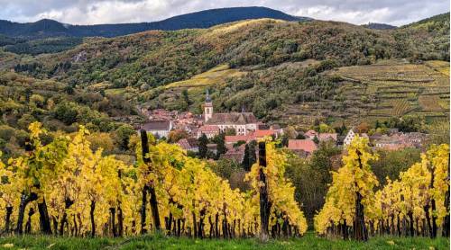 tourhub | Walkers' Britain | Alsace Vineyard Trails 