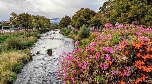 tourhub | Walkers' Britain | Alsace Vineyard Trails 