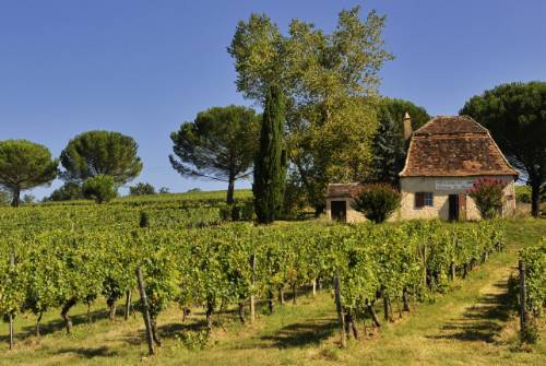 tourhub | UTracks | Highlights of the Dordogne by Bike 