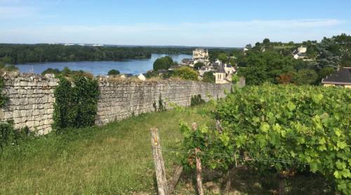 tourhub | Walkers' Britain | Loire Vineyard Trails 