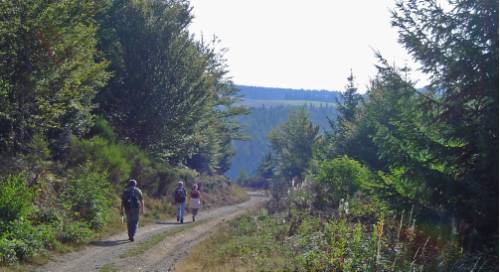 tourhub | Walkers' Britain | Stevenson's Trail: The Cevennes - 11 Days 