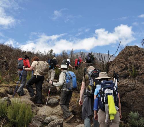 tourhub | World Expeditions | Kilimanjaro - Lemosho Route 