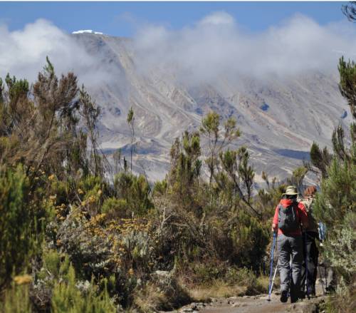 tourhub | World Expeditions | Kilimanjaro - Remote Northern Circuit 