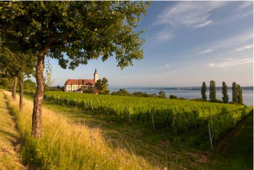 tourhub | UTracks | Lake Constance Circuit by Bike 