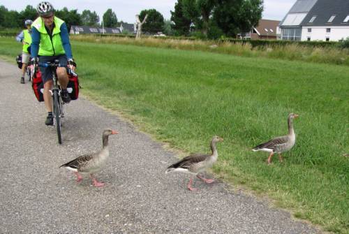 tourhub | UTracks | Berlin to Copenhagen by Bike 