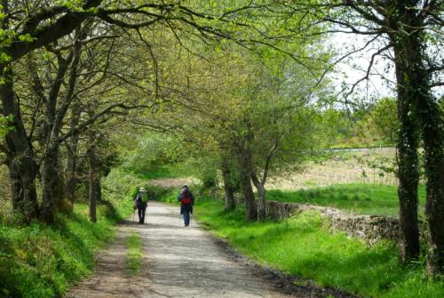 tourhub | UTracks | The Full Camino Norte 